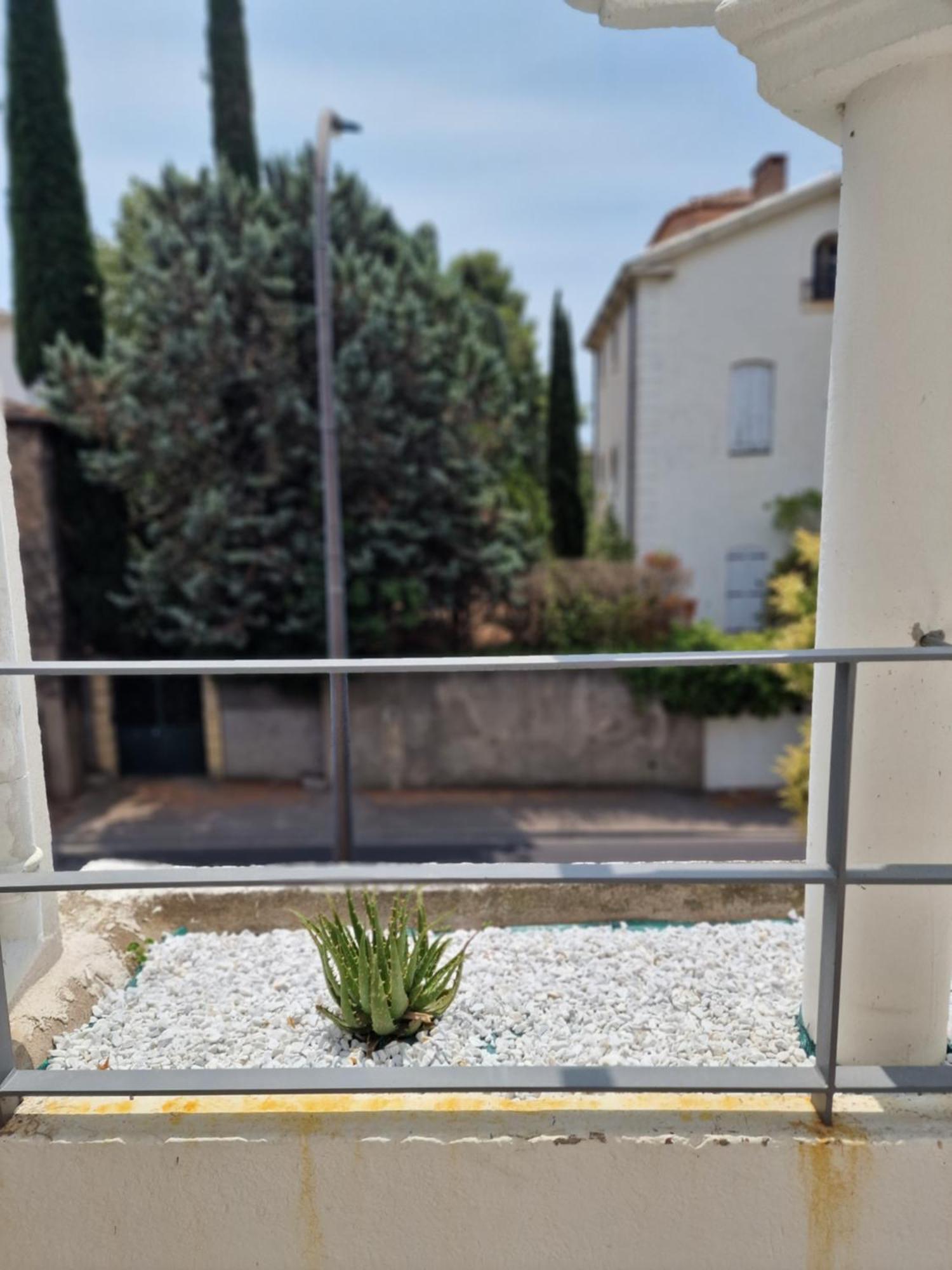 Maison Ping ,En Face Des Arenes Béziers Dış mekan fotoğraf
